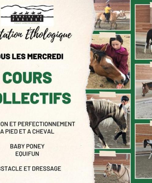 Cours collectifs 2024/25