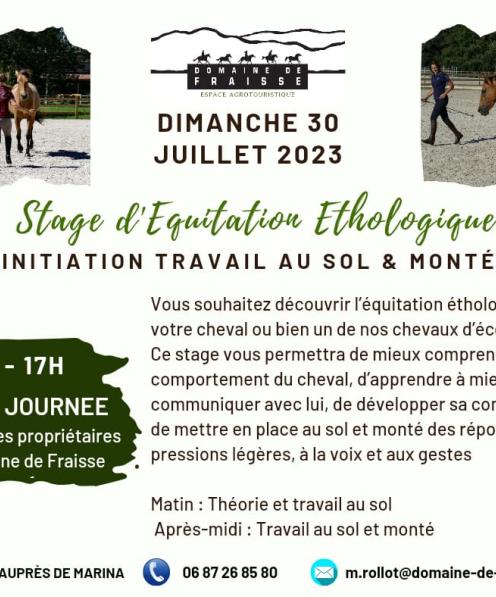 Stage d'initiation d'équitation éthologique