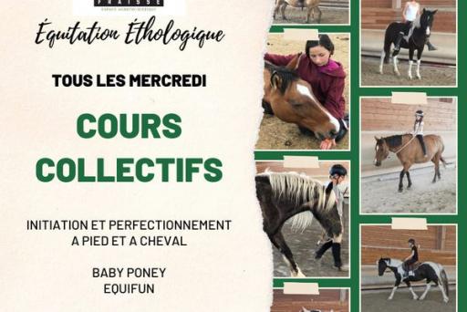 Cours collectifs 2024/25