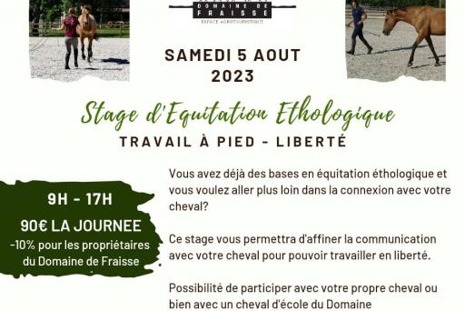 Stage - travail à pied