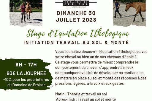 Stage d'initiation d'équitation éthologique